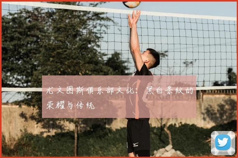 尤文图斯俱乐部文化:黑白条纹的荣耀与传统